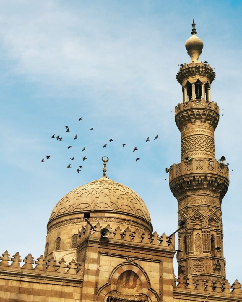ِمَوَدّة مَساجِد آل البَيت تَنمِيَة و تَطوِير